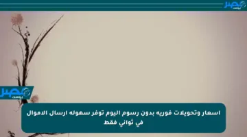 أسعار وتحويلات فورية بدون رسوم اليوم توفر سهولة إرسال الأموال في ثواني فقط